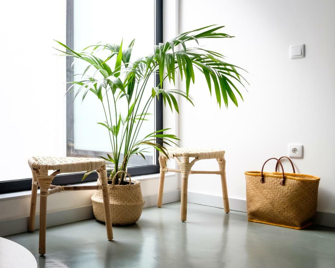 Casa Do Vento By Home Sweet Home 아베이루 외부 사진