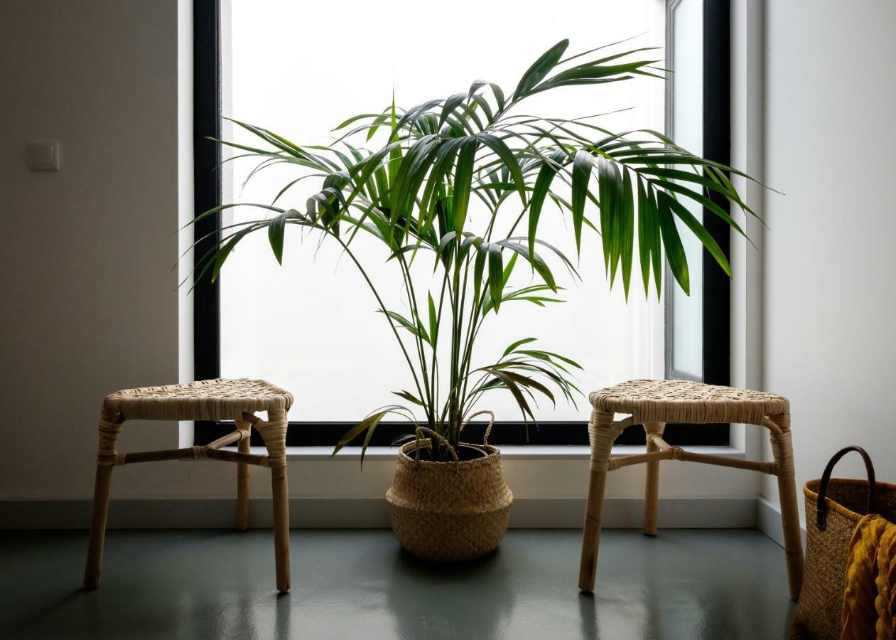 Casa Do Vento By Home Sweet Home 아베이루 외부 사진